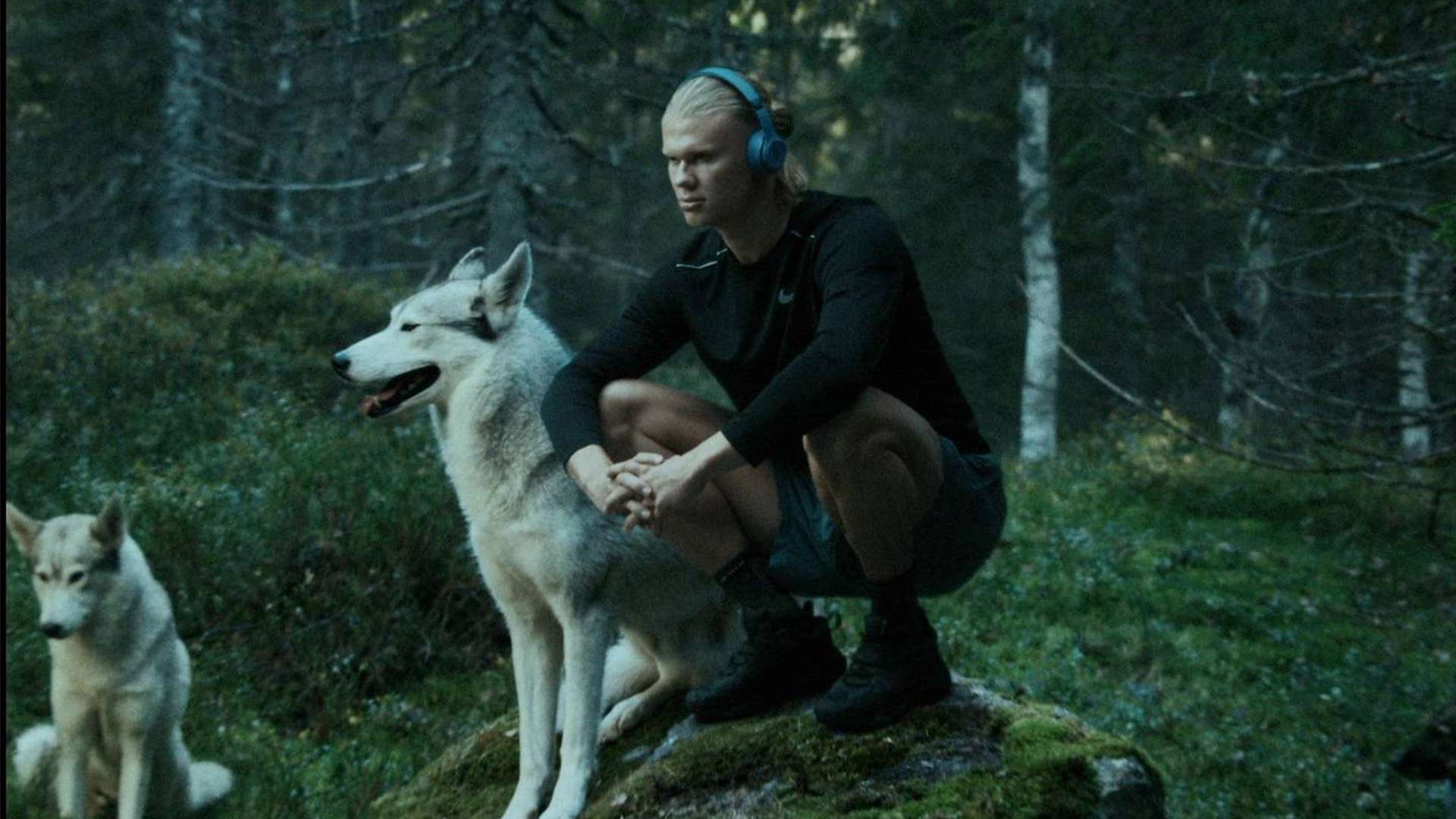 为这座城市 为这座城市