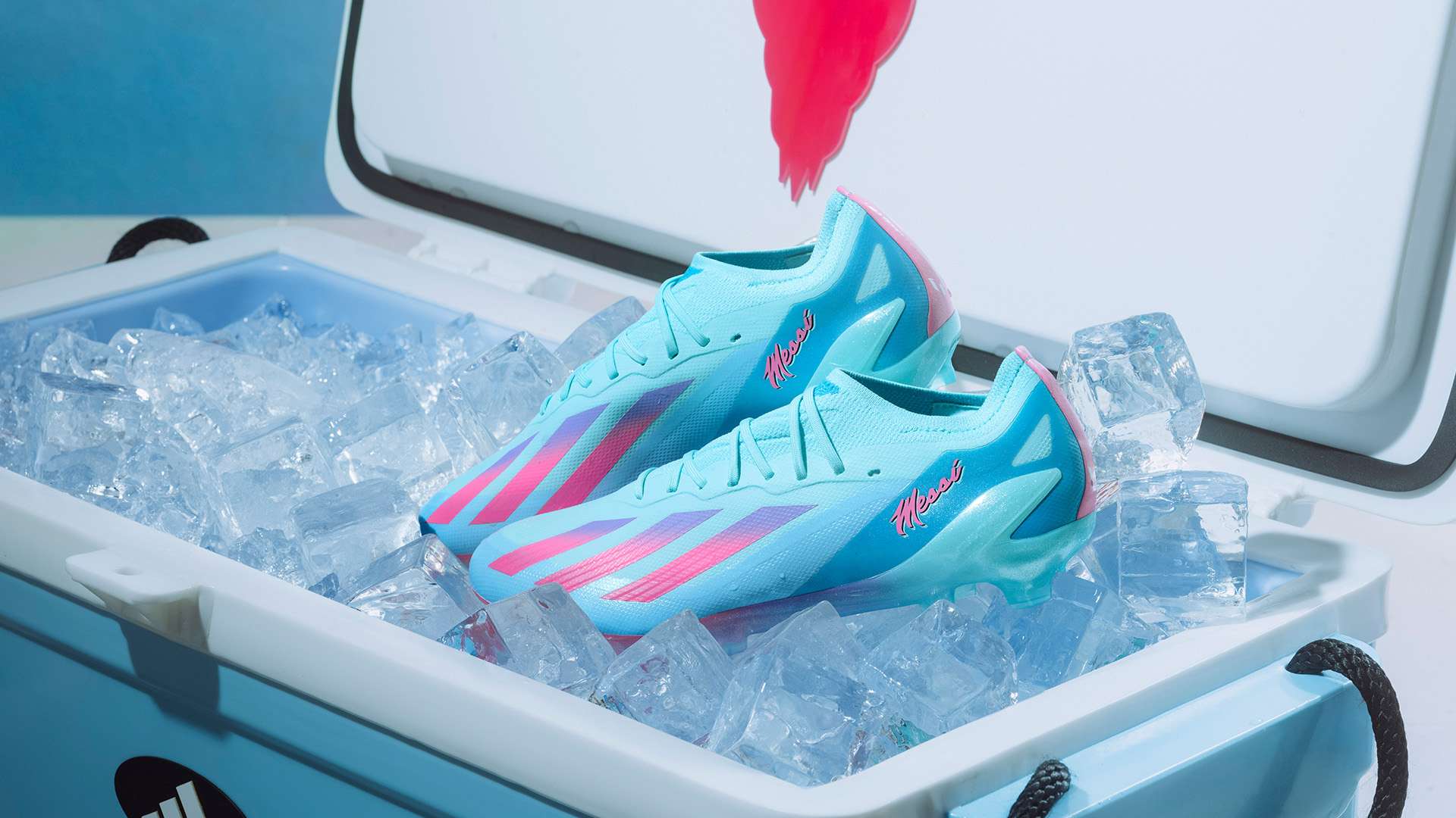 羽毛球的精 羽毛球的精